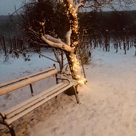 Fahaz A Kilatonal Woodhouse Lux Near Koszeg 6km Szombathely 10km Buek 20km